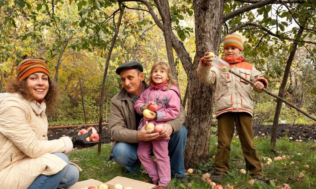fall bucket list