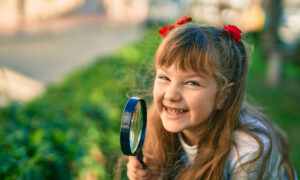 homeschooling curriculum