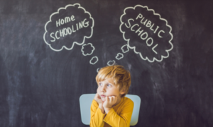 homeschooling curriculum